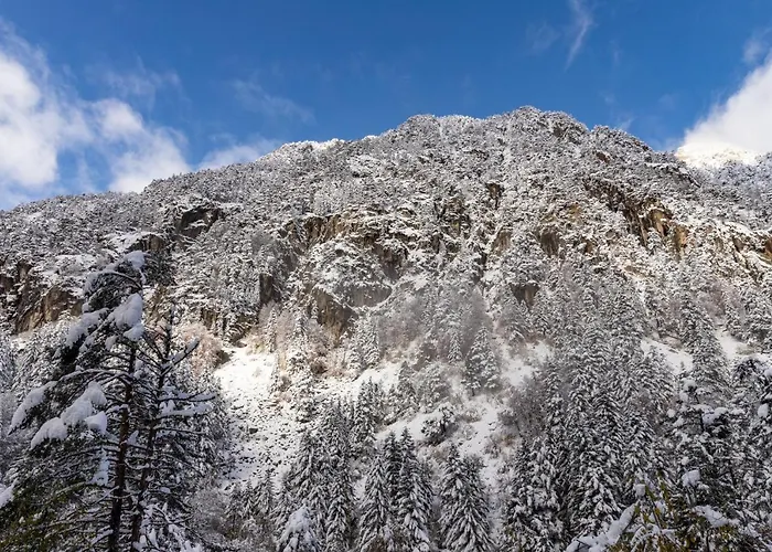 Le Foch - Centre - Parking Lurdy