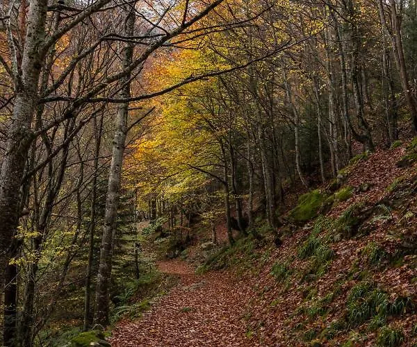Le Foch - Centre - Parking