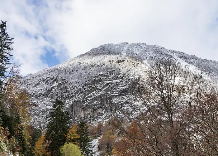 Le Foch - Centre - Parking Lurdy