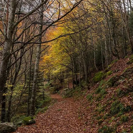 Le Foch - Centre - Parking