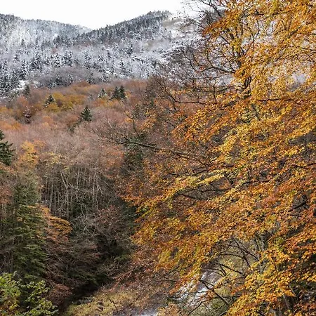Le Foch - Centre - Parking דירה