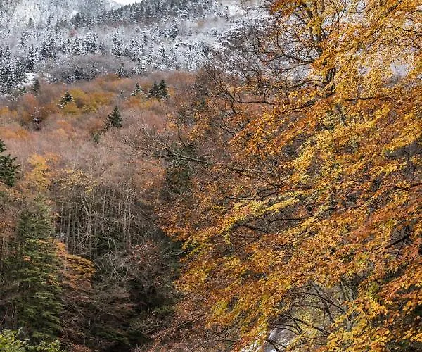 Le Foch - Centre - Parking Апартаменты