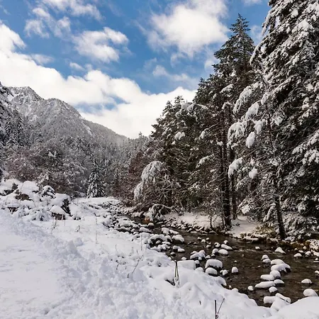 Apartment Le Foch - Centre - Parking Lourdes